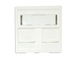 45X45 2 PORT FACE PLATE